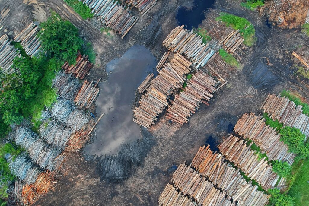 approvisionnement responsable est necessaire de reduire le deforestation tropicaux vue aerienne